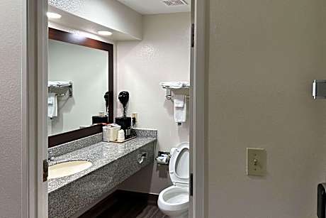 1 King Bed Nonsmoking