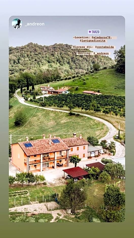 LA VIGNA FIORITA B&b
