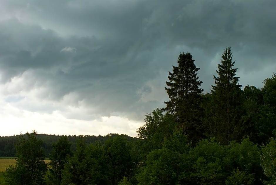 Top of Algonquin Bed and Breakfast