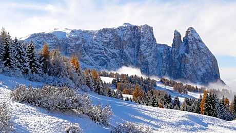 Apartment Hotel Elvis