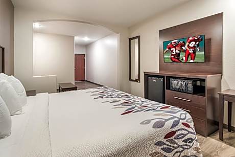 Superior King Room Disability Access Walk-In Shower Non-Smoking