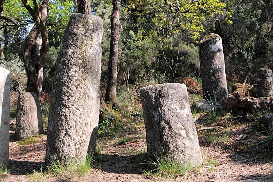 Hotel Carvalho Araujo