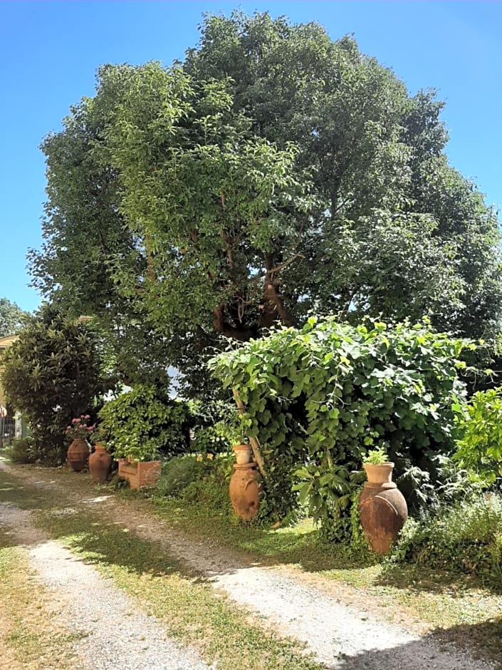 Antica Fattoria La Verdina