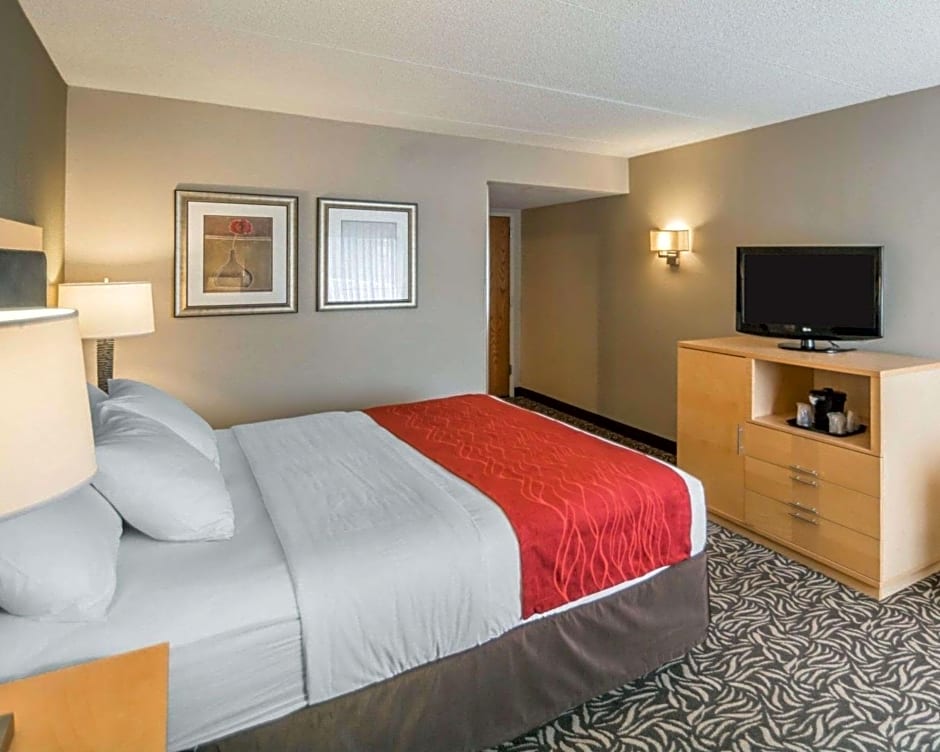 Comfort Inn - NYS Fairgrounds