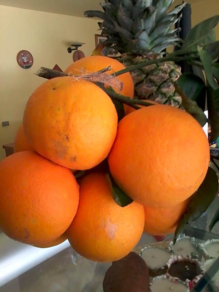 La Valle Verde hotel ristorante pizzeria