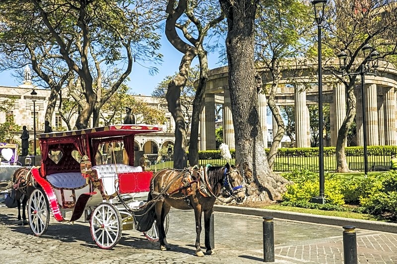 Gamma Guadalajara Centro Historico