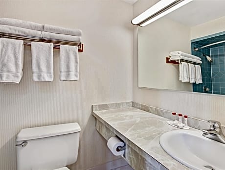 1 King Bed, Studio Suite, Non-Smoking