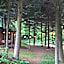 Novosiele Lifestyle Apartments - nad górską rzeką - Strefa relaksu sauna jacuzzi - Bieszczady