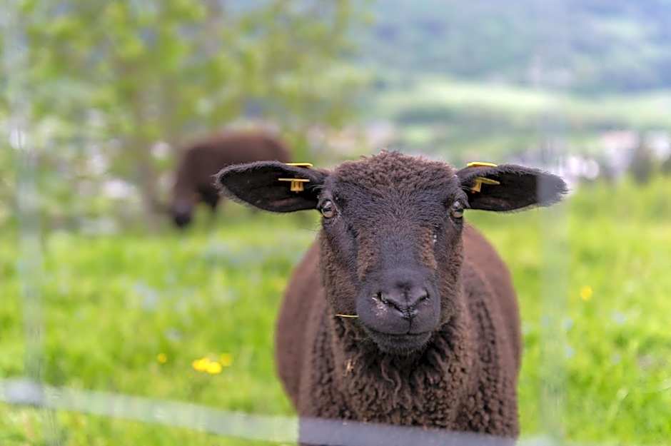 Panoramahotel Stocker