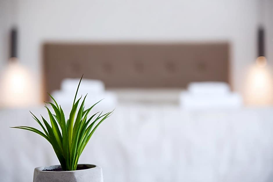 Terinikos Sunny Garden Hotel & Junior Suites New Renovation 2025