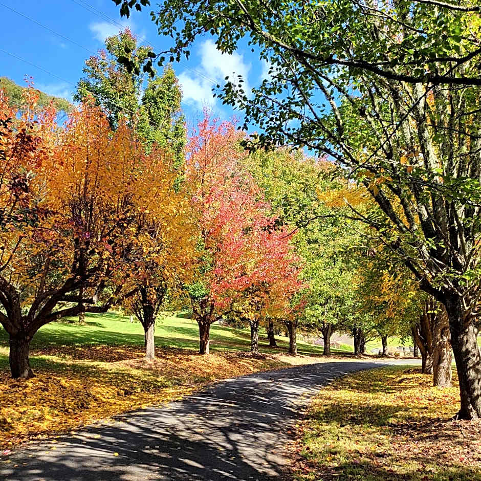 The Drawing Rooms of Berry