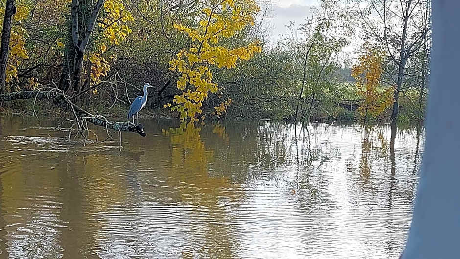 péniche Ino Lefkothea II chambre d'hôtes