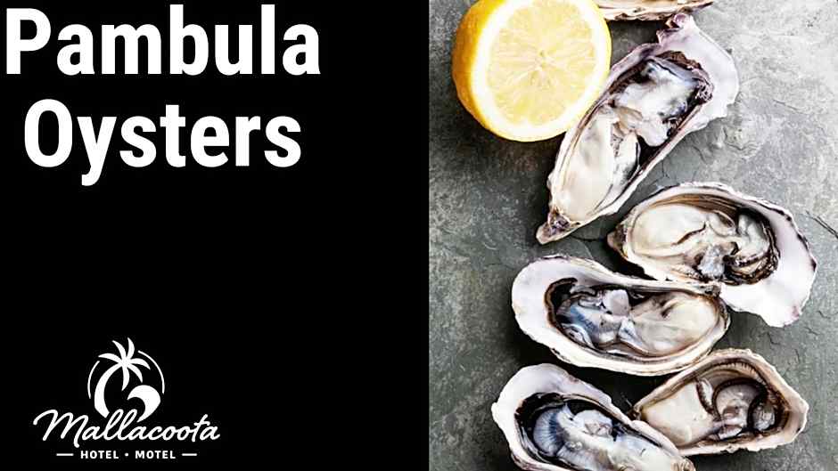 Mallacoota Hotel Motel