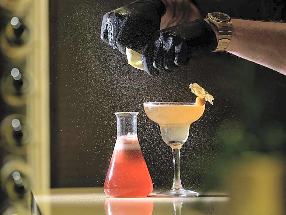 Moevenpick Hotel And Casino Geneva