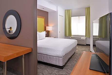 Studio, 1 King Bed with Sofa bed (1 King Bed and 1 Double Sofa Bed)