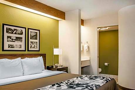 King Room - Non-Smoking