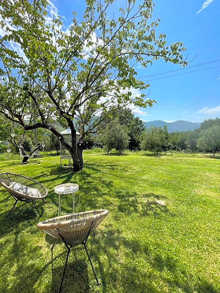 Tenuta delle Acque