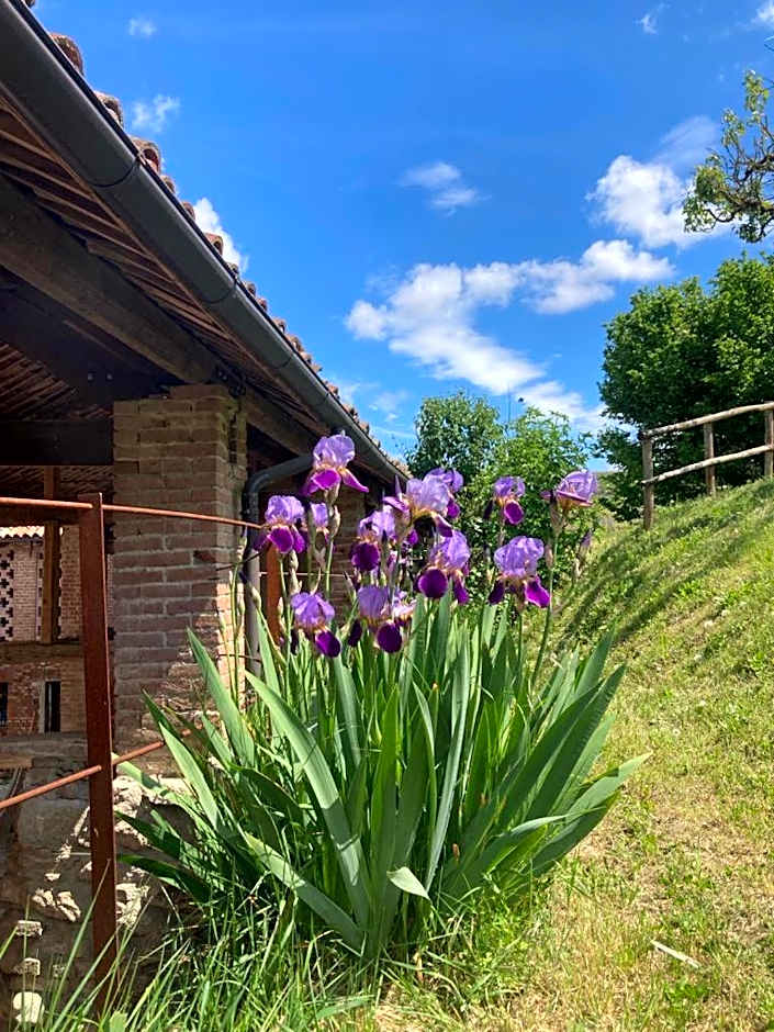 Casa Dormiveglia