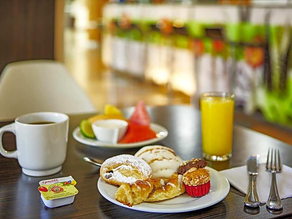 Ibis Monterrey Valle