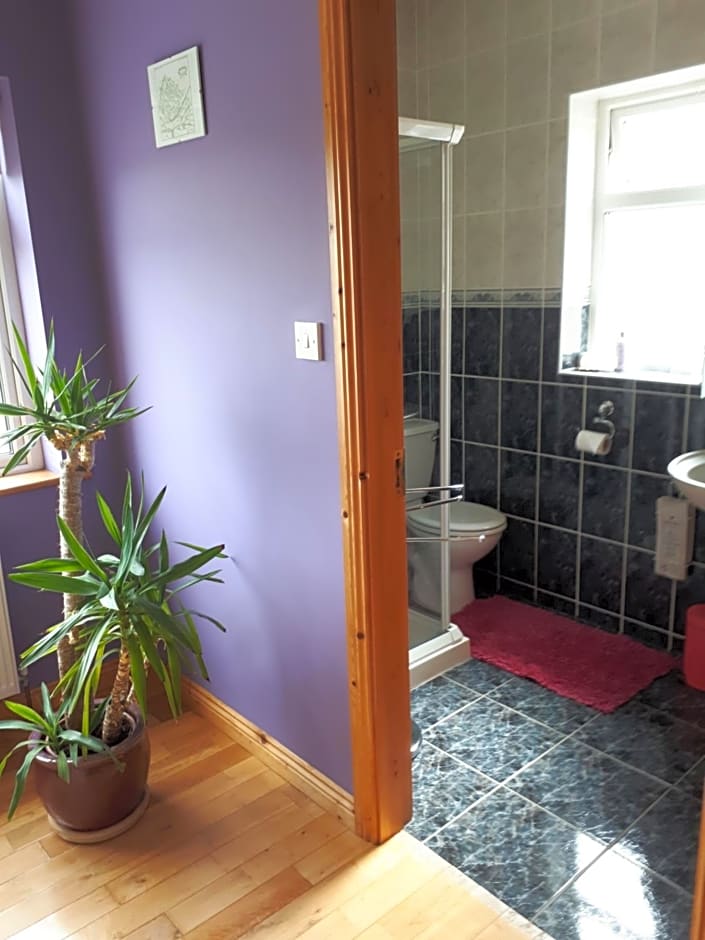 Tullaleagan Guesthouse