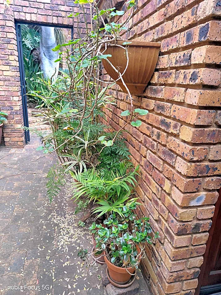 Feather Tree Bed and Breakfast