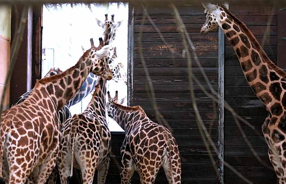 Travel24 Hotel Leipzig City