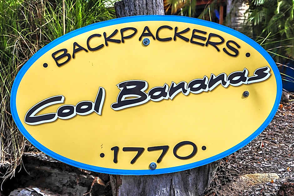 Cool Bananas Backpackers