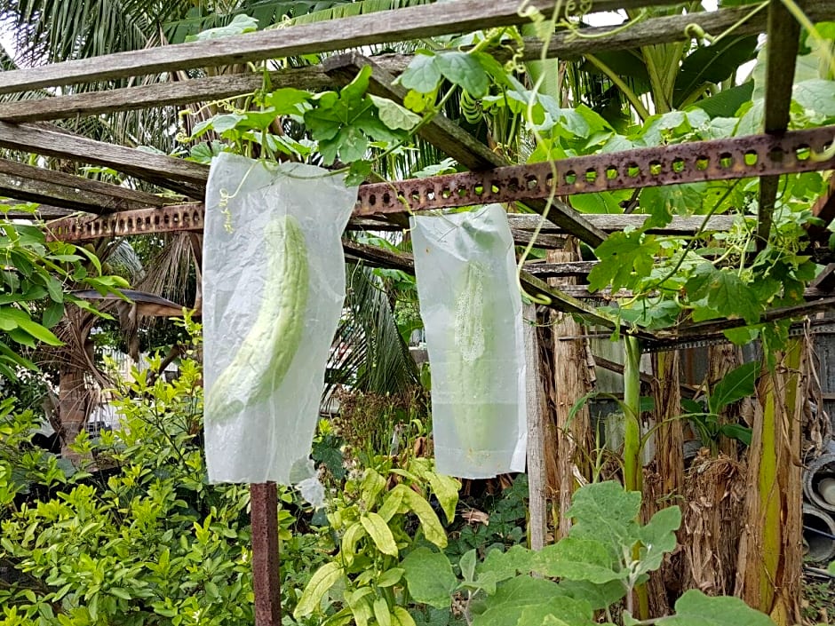 Casa Hotel near KLIA 1