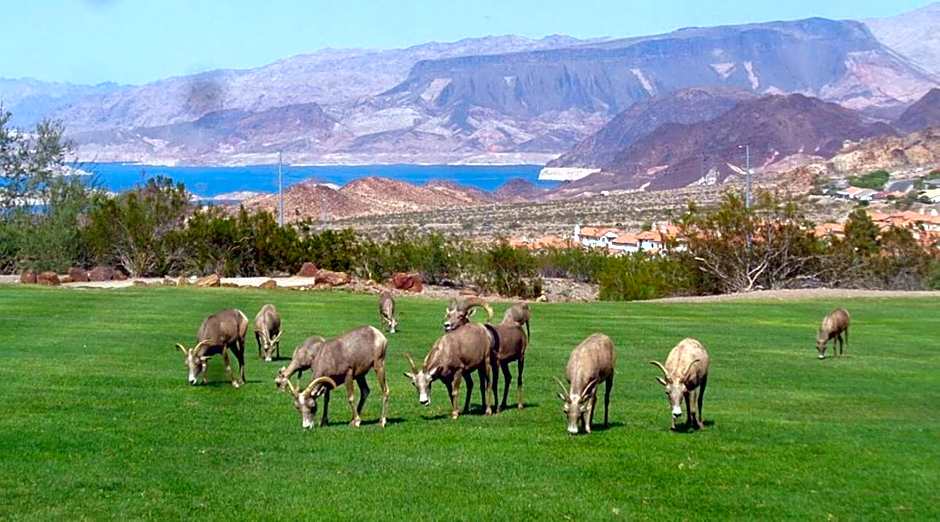 Lake Mead Inn