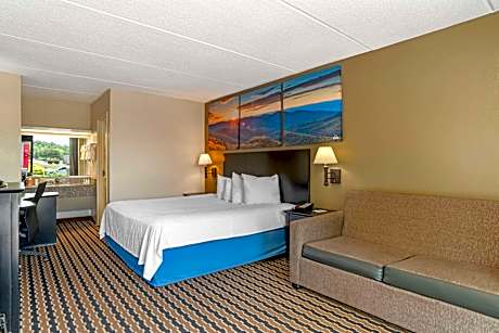 1 King Bed Smoking