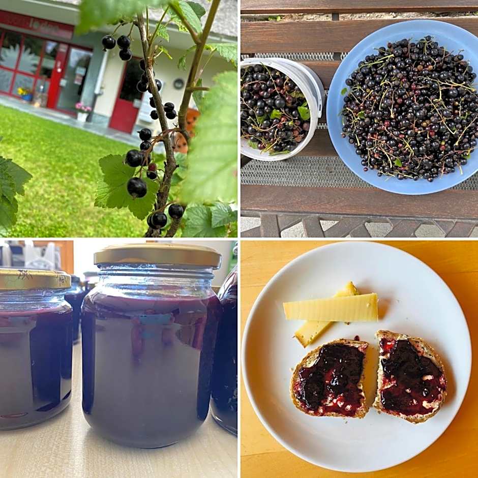 Sport-Lodge Klosters