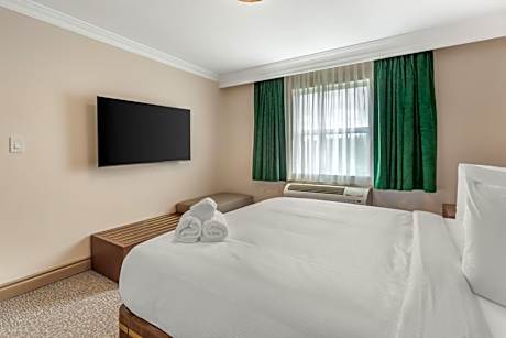 Superior Efficiency King Suite - Non-Smoking