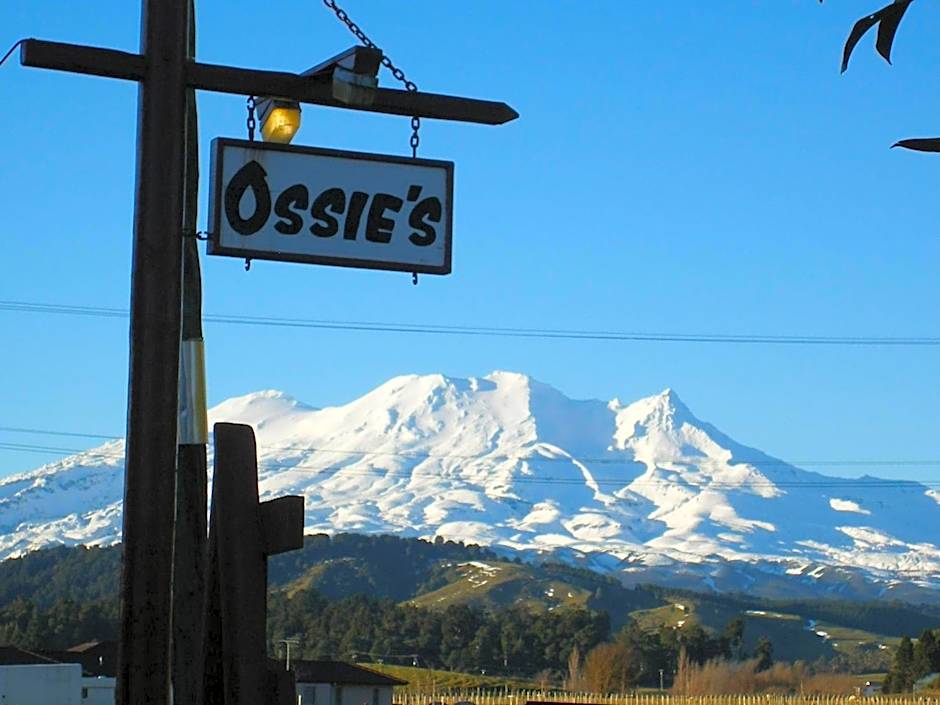 Ossies Motels and Chalets