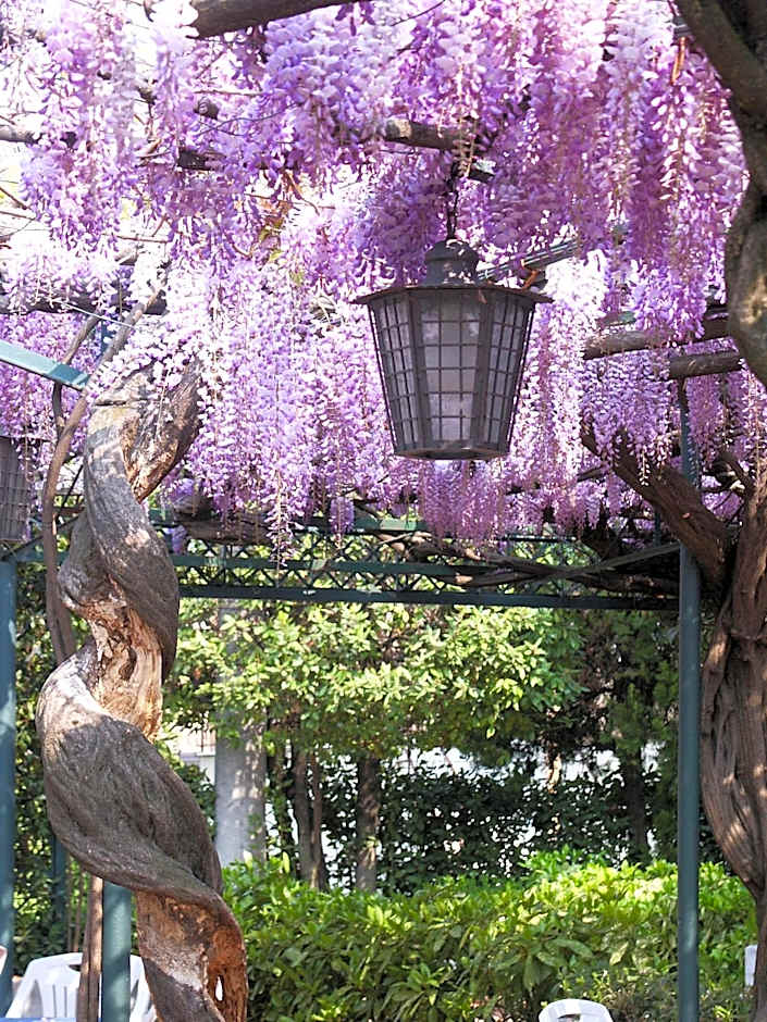 Albergo Ristorante Papa