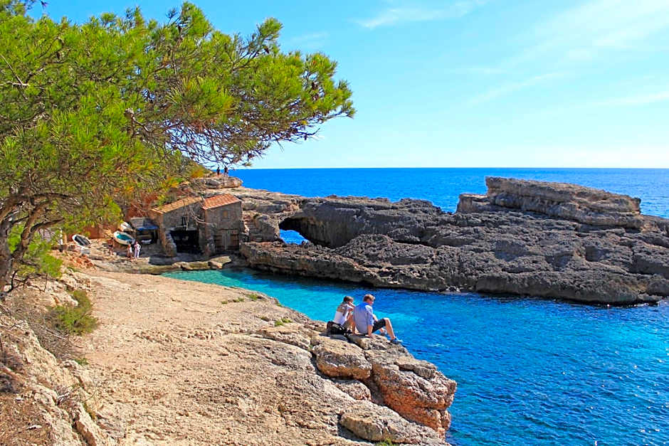 Aparthotel Niu d´Aus