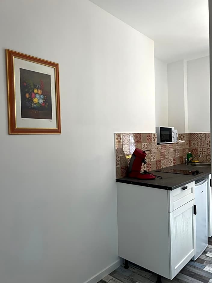 THEIA - Limoges Centre