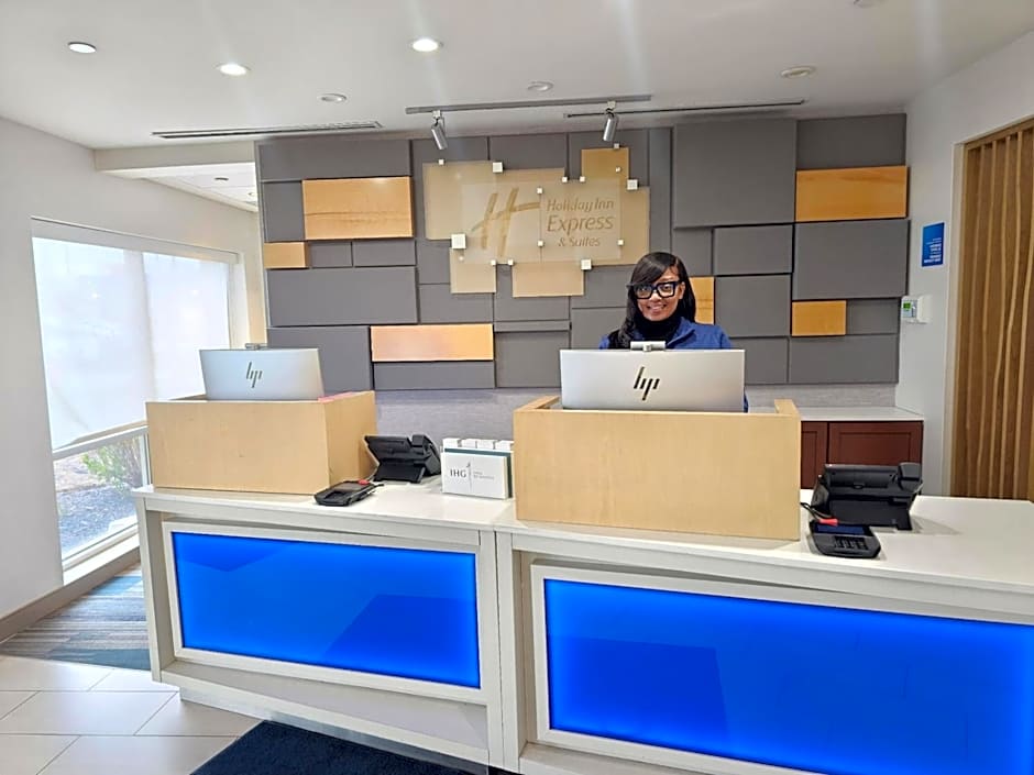 Holiday Inn Express & Suites Chicago O'Hare Airport by IHG