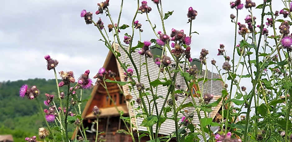 Bacówka PTTK Jaworzec