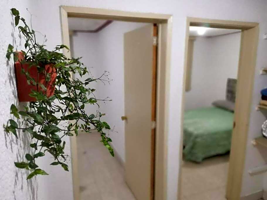 La Casa del Oso Querétaro *Cerca del Centro*