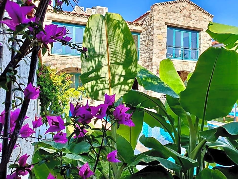 Windmill Alaçatı