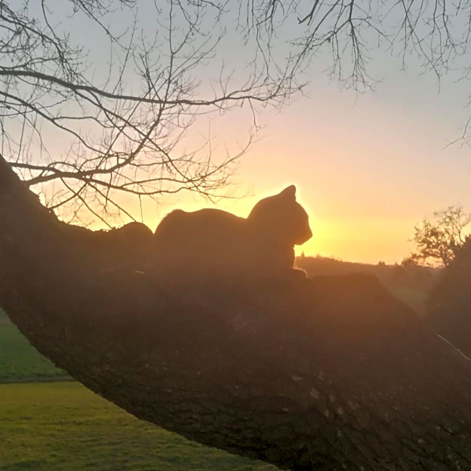 Maison Saint-Pé (Gers)