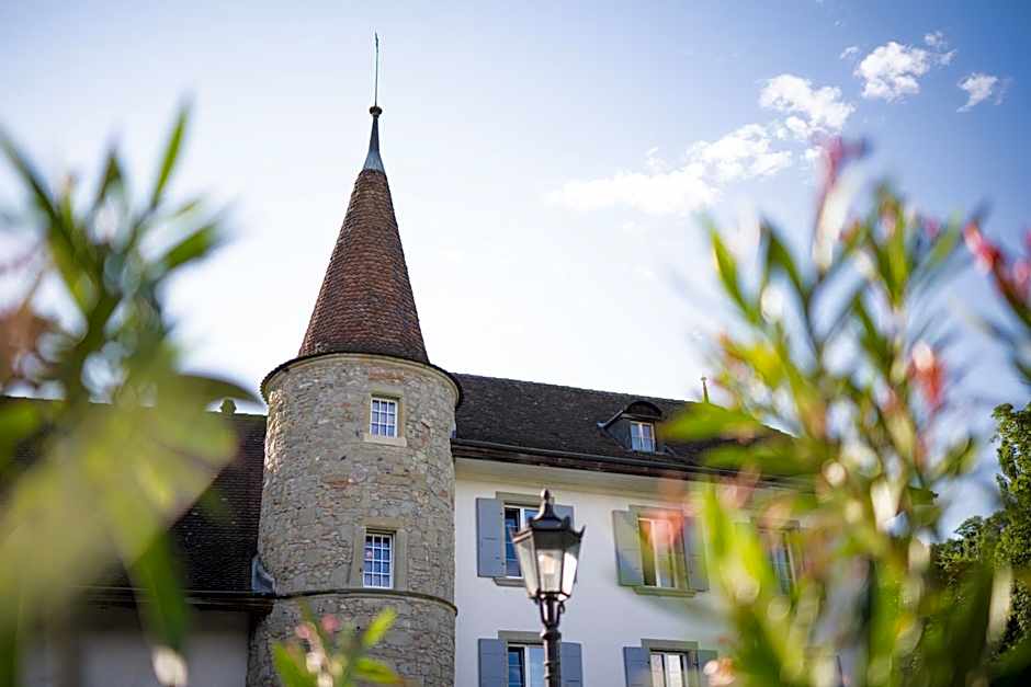 Chateau Salavaux