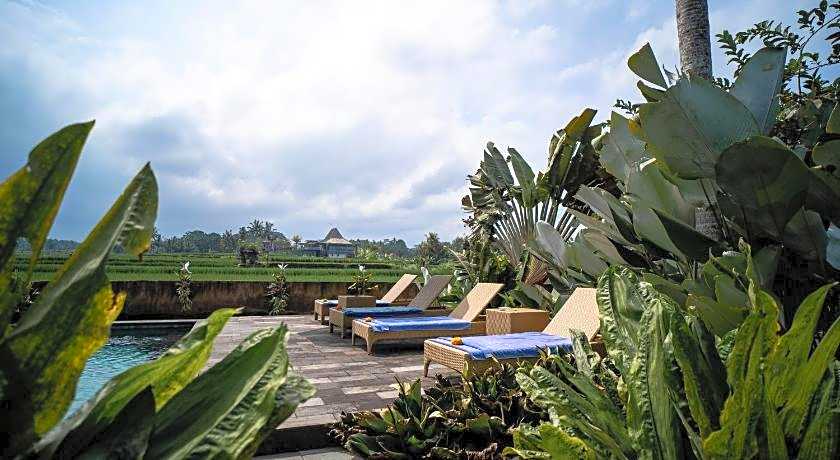 Padi Bali Eco Villas