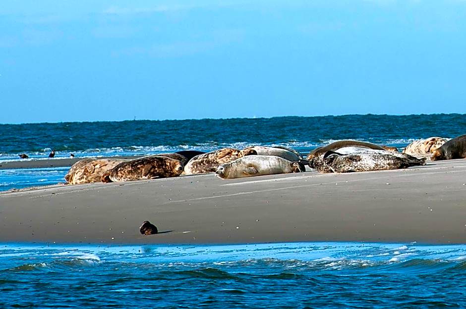 INSEL-LAND-HOTEL MICHAELSEN -Boutique Hotel- im Ostland mit Yoga u Sauna