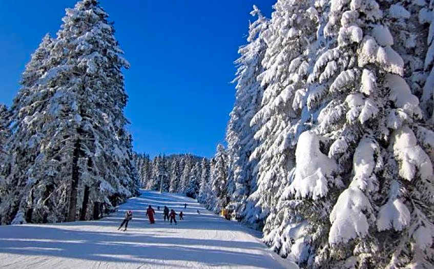 Borovets Gardens Studio Raya