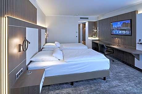Business Double Room with Double Bed