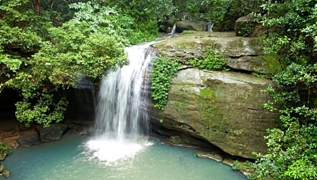 Buderim Forest Hideaway
