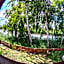 Domki Nad Starą Regą