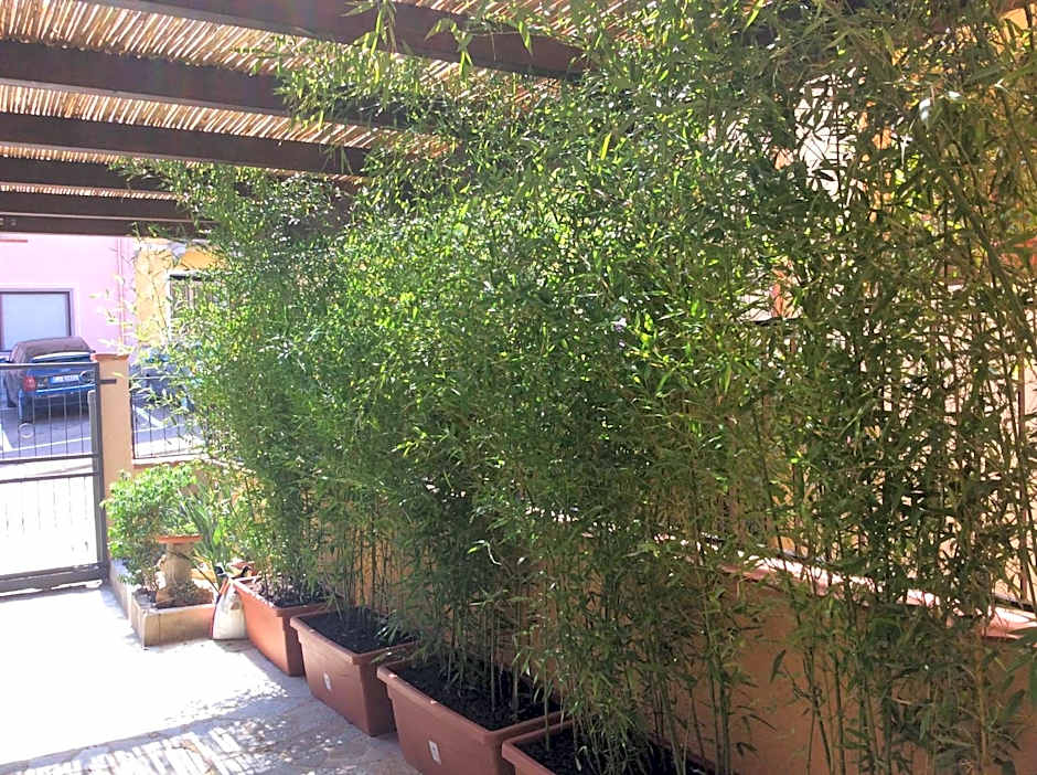 Casa Tacconi