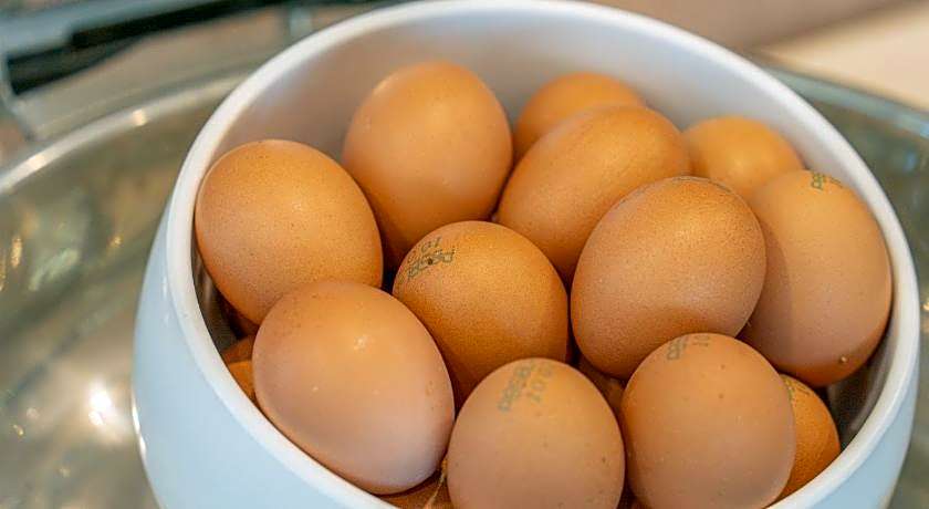 Donghae Gloria Hotel